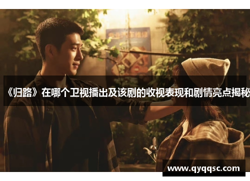 《归路》在哪个卫视播出及该剧的收视表现和剧情亮点揭秘